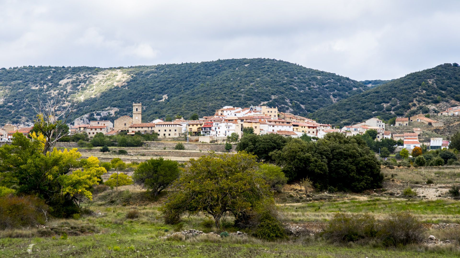 abejuela gudar javalambre