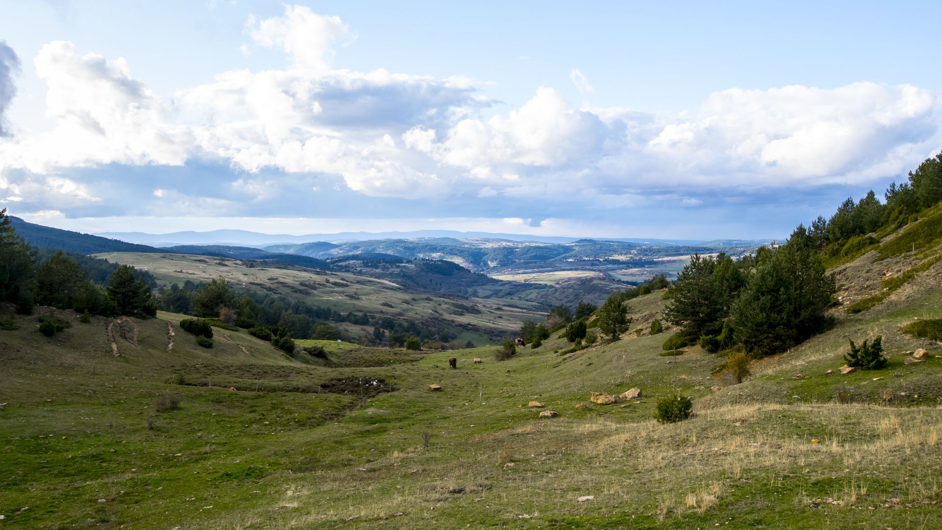 Valdelinares gudar javalambre
